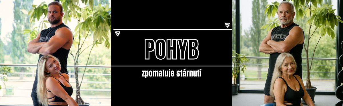 stárnutí